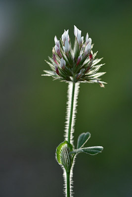 BUITEN BEELD Foto: 296603