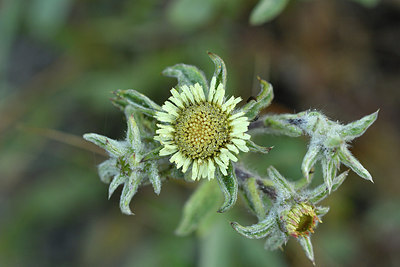 BUITEN BEELD Foto: 296605