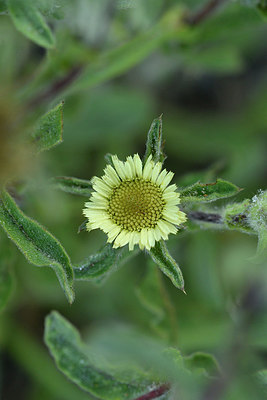 BUITEN BEELD Foto: 296607