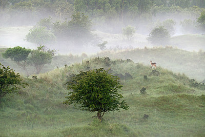 BUITEN BEELD Foto: 296621
