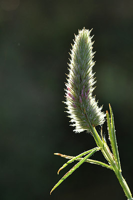 BUITEN BEELD Foto: 296630