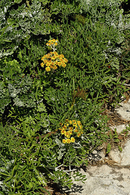 BUITEN BEELD Foto: 296653