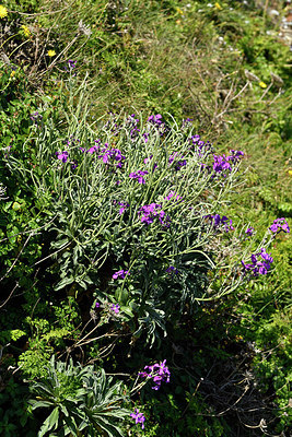BUITEN BEELD Foto: 296670