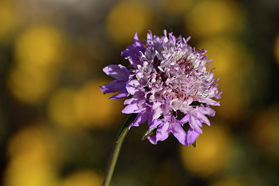 BUITEN BEELD Foto: 296672