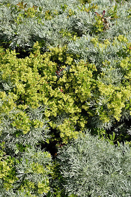 BUITEN BEELD Foto: 296674