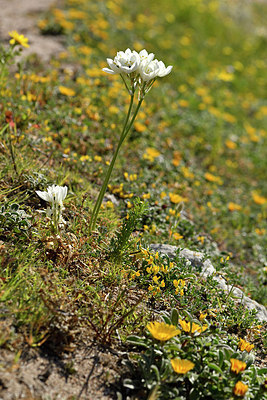 BUITEN BEELD Foto: 296682