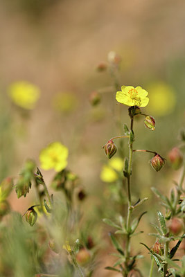 BUITEN BEELD Foto: 296684