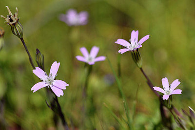 BUITEN BEELD Foto: 296690