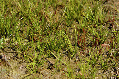 BUITEN BEELD Foto: 296694