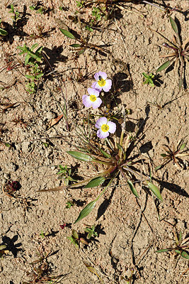 BUITEN BEELD Foto: 296702