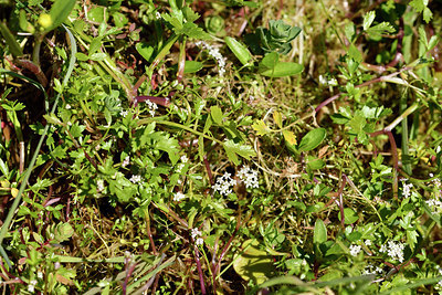 BUITEN BEELD Foto: 296705