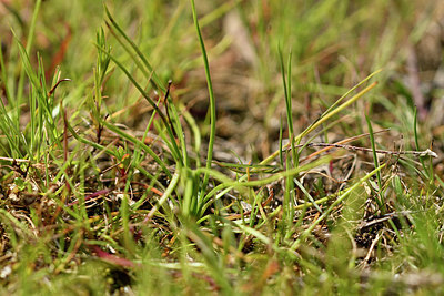 BUITEN BEELD Foto: 296711