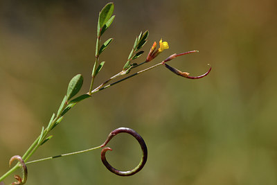 BUITEN BEELD Foto: 296716