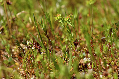 BUITEN BEELD Foto: 296722