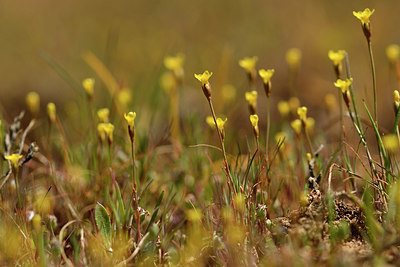 BUITEN BEELD Foto: 296723
