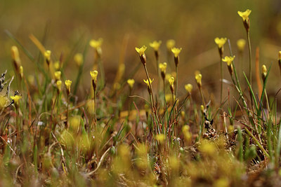 BUITEN BEELD Foto: 296724