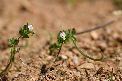 BUITEN BEELD Foto: 296736