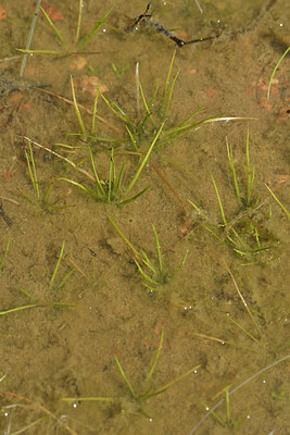 BUITEN BEELD Foto: 296739