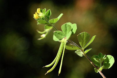 BUITEN BEELD Foto: 296744