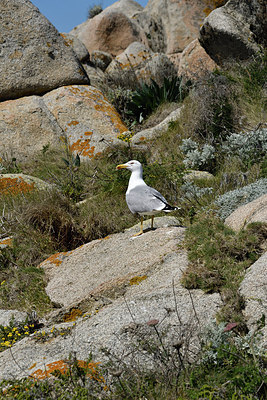 BUITEN BEELD Foto: 296762