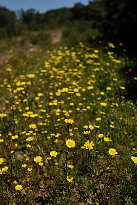 BUITEN BEELD Foto: 296769