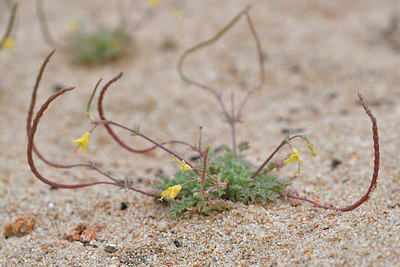 BUITEN BEELD Foto: 296776