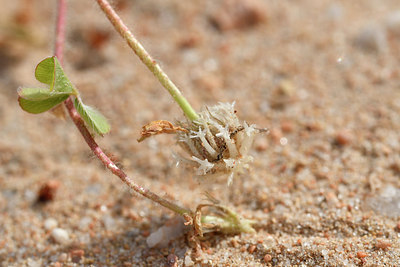 BUITEN BEELD Foto: 296808