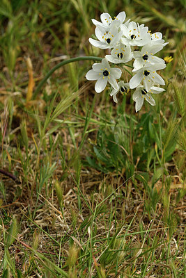 BUITEN BEELD Foto: 296817