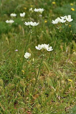 BUITEN BEELD Foto: 296818