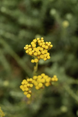 BUITEN BEELD Foto: 296823