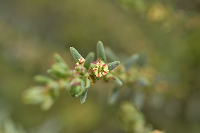 BUITEN BEELD Foto: 296828
