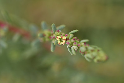 BUITEN BEELD Foto: 296830