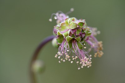 BUITEN BEELD Foto: 296855