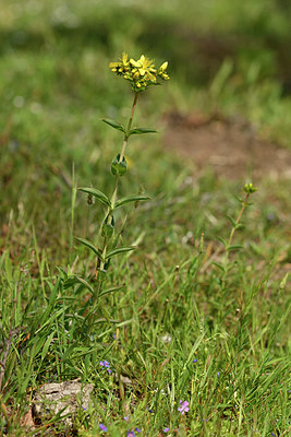 BUITEN BEELD Foto: 296856