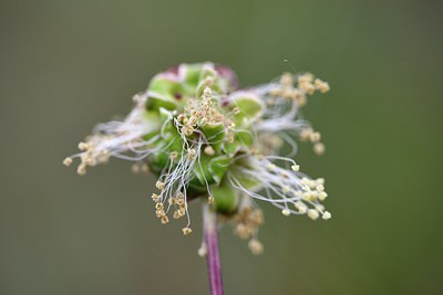 BUITEN BEELD Foto: 296859