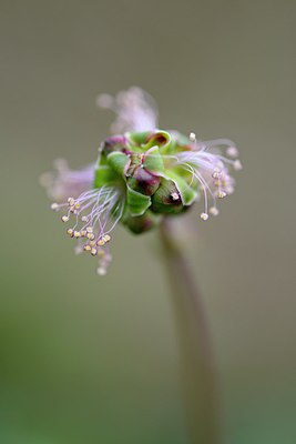 BUITEN BEELD Foto: 296862