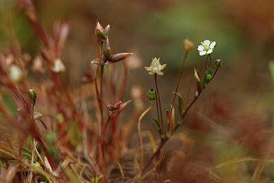 BUITEN BEELD Foto: 296866