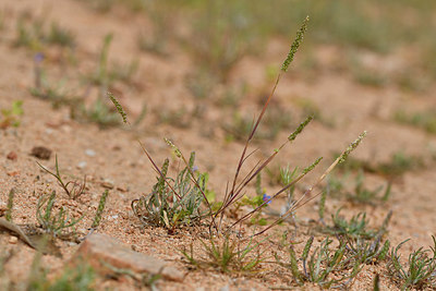 BUITEN BEELD Foto: 296870