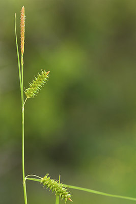 BUITEN BEELD Foto: 296889