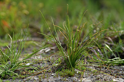 BUITEN BEELD Foto: 296948
