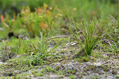 BUITEN BEELD Foto: 296949
