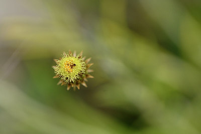 BUITEN BEELD Foto: 296956