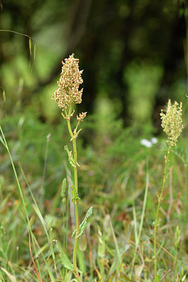 BUITEN BEELD Foto: 296964