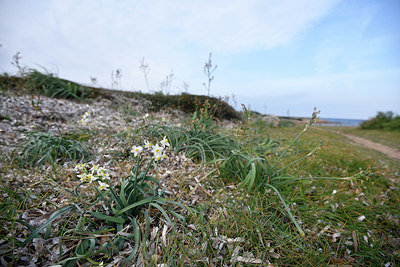 BUITEN BEELD Foto: 296976