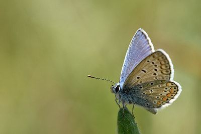 BUITEN BEELD Foto: 296978