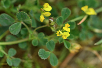 BUITEN BEELD Foto: 297003