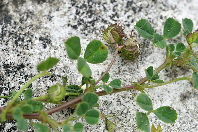 BUITEN BEELD Foto: 297006