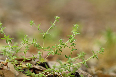 BUITEN BEELD Foto: 297030