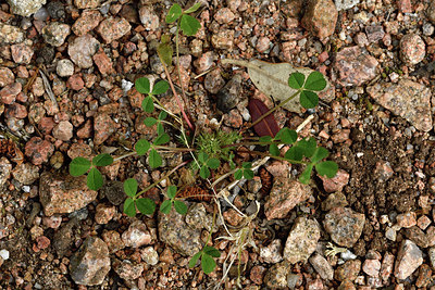 BUITEN BEELD Foto: 297055