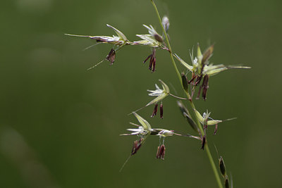 BUITEN BEELD Foto: 297114